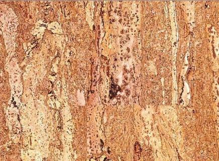 Пробковое покрытие Corkstyle Natural Cork Comprido клеевая