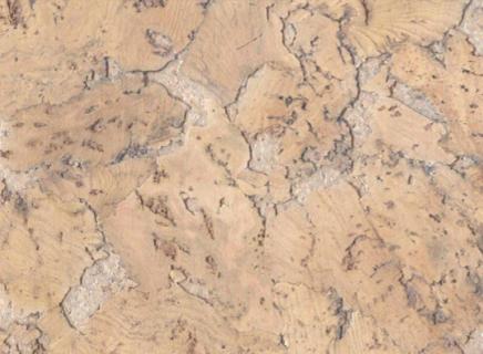 Пробковое покрытие Corkstyle Wall Design Настенная Monte Cream настенная