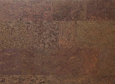 Пробковое покрытие Viscork Organic Color Cork (Plaza) BN 300 911 с фаской