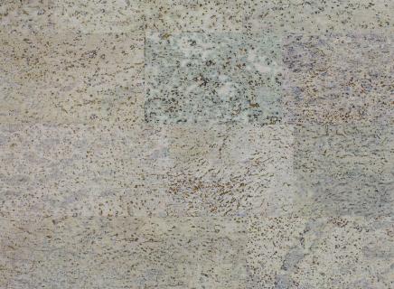 Пробковое покрытие Viscork Organic Color Titanium SP 290 941 с фаской