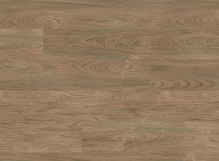 Ламинат Haro Tritty 200 Aqua 4V Вяз Варио 544 784