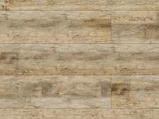 Ламинат FloorBee Открытие Дуб золотистый					